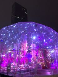 -美丽匯形象定制