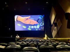 -英皇电影城(平安金融中心IMAX激光店)
