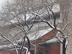 -北京国子监胡同