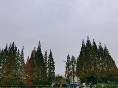 -蜀绣公园