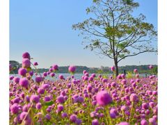 -天河儿童公园