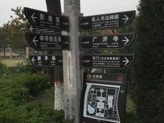 -大槐树寻根祭祖园