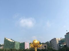 -金莲花广场
