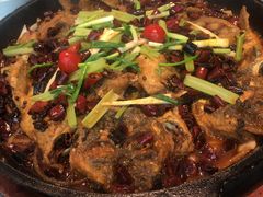 -老板恋上鱼(恒隆广场店)