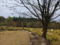 -塔川景区
