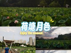 -月湖风景区