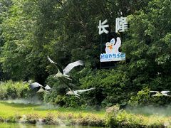 -广州长隆飞鸟乐园