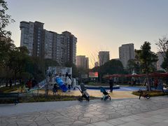-新江湾城公园