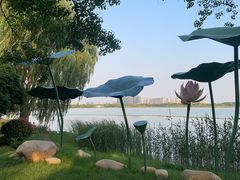 -西山漾湿地公园