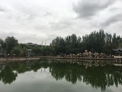 -金城公园