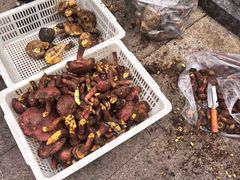 -宋记冕宁土菜馆(海门渔村二店)