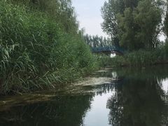 -白洋淀景区