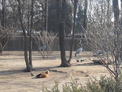 -森林公园(尖草坪区)