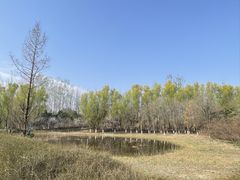 -翠湖国家城市湿地公园