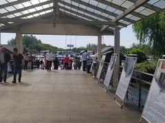 -平望服务区·停车场