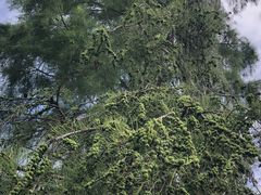 -天龙八部武侠城