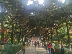 -南岳衡山风景名胜区-南岳大庙