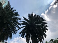 -梅森休闲健身(滨江店)