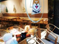 -柴务处·柴犬主题狗咖