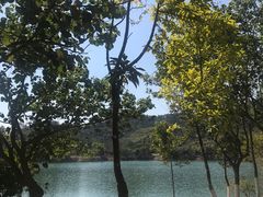 -凤岗南门山森林公园