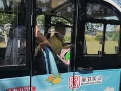 -上海长兴岛郊野公园