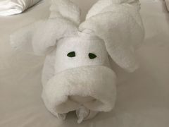 -三亚亚龙湾雅高铂尔曼别墅度假酒店