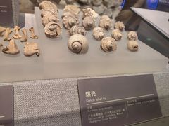 -中国（海南）南海博物馆