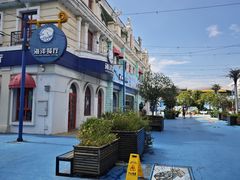 -芜湖新华联大白鲸海洋公园