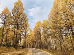 -塞罕坝国家级自然保护区