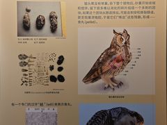 -天津自然博物馆