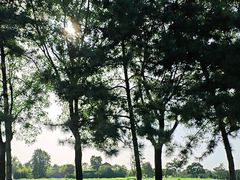 -汉长安城未央宫国家考古遗址公园