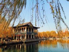 -趵突泉景区