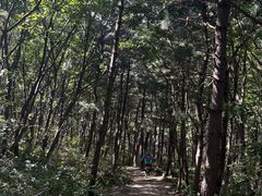 -阳台山自然风景区