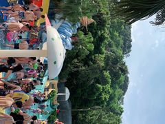 -重庆海昌加勒比海水世界