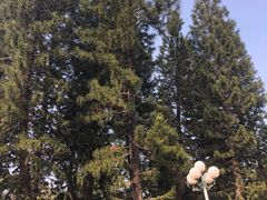 -人民公园(罗湖区)