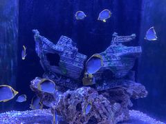 -成都浩海立方海洋公园