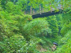 -凤栖山