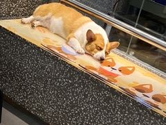 -黄记煌三汁焖锅(新世纪广场店)