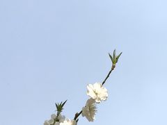 -国家植物园