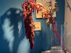 -宝库女装店(绿地缤纷广场店)