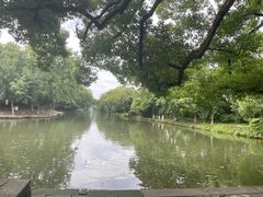 -西溪国家湿地公园