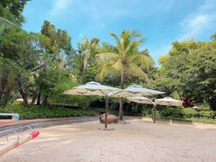 -深圳国际园林花卉博览园