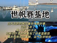 -日照世帆赛基地