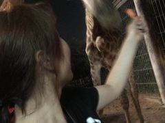 -清迈夜间动物园