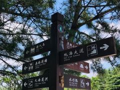 -渡海小渔村.老辈日照菜