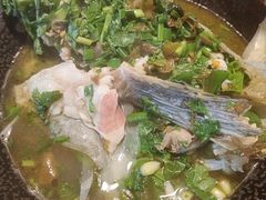 -马村鱼头