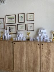 点击看大图 -薇薇安花系SPA