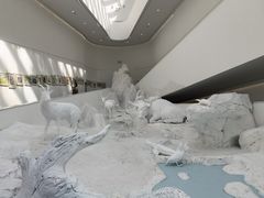 -中国湿地博物馆