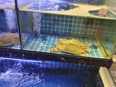 -老地方海鲜坊(步行街店)