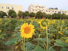 -南京信息职业技术学院